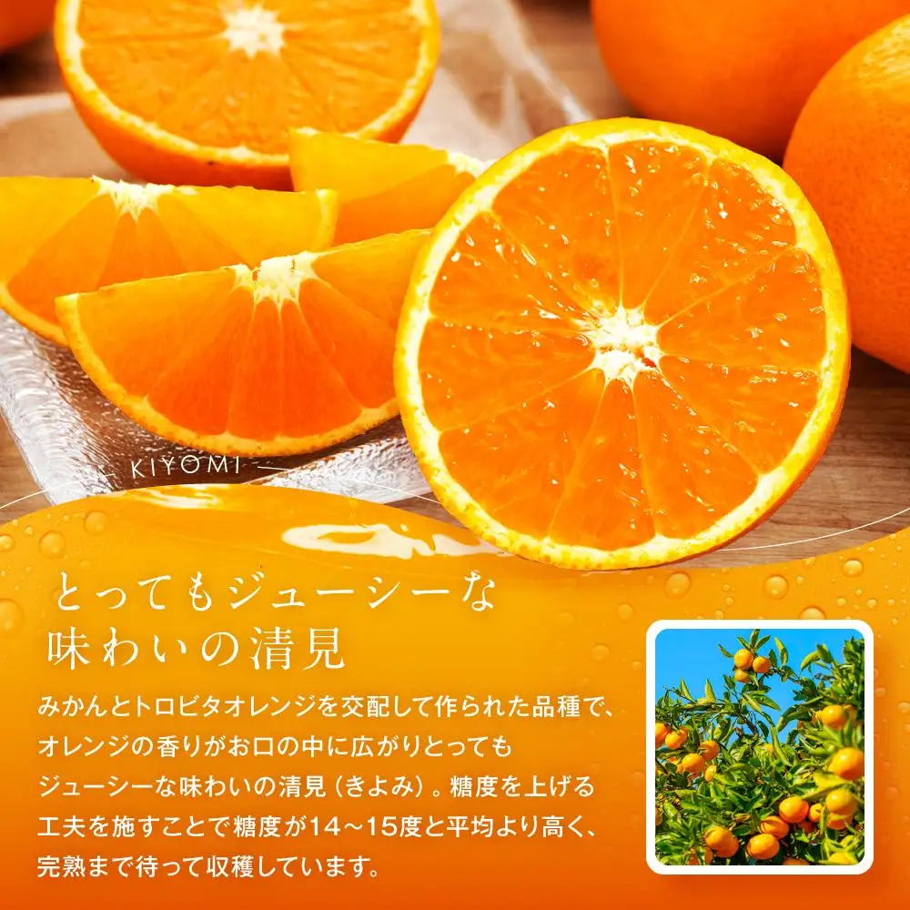 うまみ際立つ 清見（きよみ） 約5kg サイズ混合
