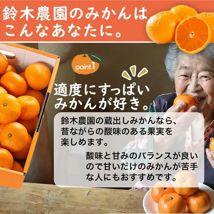 訳あり みかん 蔵出しみかん 5kg 鈴木農園
