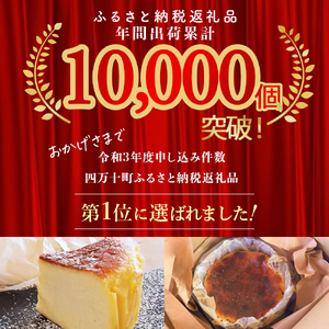【定期便-3回お届け】バスクチーズケーキ 四万十の米粉入り ／Sbmu-C58 バスク