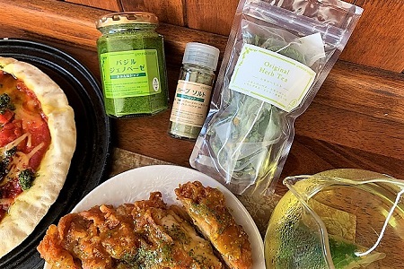 バジルジェノベーゼ 万能ハーブソルト 食後に最適なハーブティの3点セット_CI03