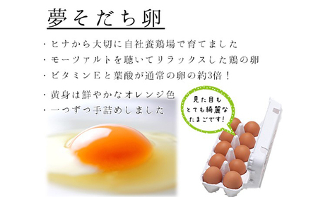 卵 夢そだち 姫路産 90個 醤油付 卵