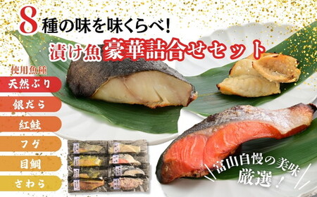 【冷凍・小分け】 粕漬け 西京漬け 4種ずつ 8種セット 8パック（ ブリ 銀ダラ 紅鮭 ふぐ サワラ メダイ ）｜ 天然ぶり 鰤 銀だら 銀鱈 鮭 しゃけ サケ サーモン さわら フグ 味噌漬け かす漬け 魚貝類 魚介類 海鮮 北陸 富山県 富山湾 魚津市 送料無料