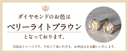 【即納】プラチナ　0.20Ｘ0.20CT ダイヤ　ピアス　403134（403462）