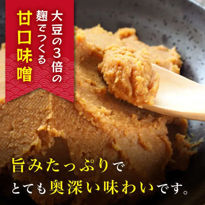 麹味噌 詰合わせ（麦・合わせ）定期便（3回／年） [CA04] 