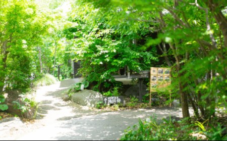 入浴券 湯治楼 温泉 入湯券20枚 [JA01]