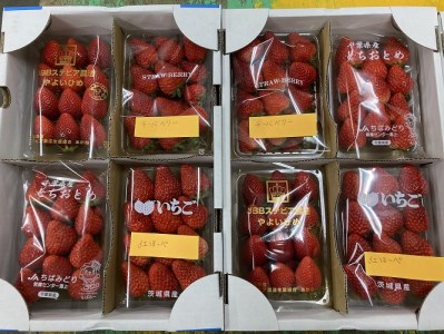 イチゴの食べ比べセット【令和3年2月から順次お届け】
