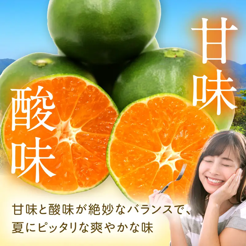 石上農園自慢のホタル（グリーンハウスミカン）5kg_K011-003