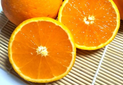 【果汁100%】無添加！贅沢絞りの清見オレンジストレートジュース1000ml×4本セット【2023年3月頃から順次発送予定】【nuk123】
