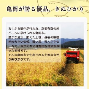 定期便 無洗米 10kg 6ヶ月 配送時期が選べる 京都丹波産 キヌヒカリ 6回定期便 10kg （5kg×2袋） ×6回 計60kg