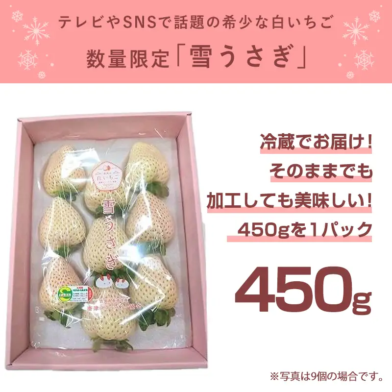 『先行予約』【令和9年1月より順次発送】白いちご 雪うさぎ 450ｇ入り化粧箱（佐賀県唐津市限定生産）