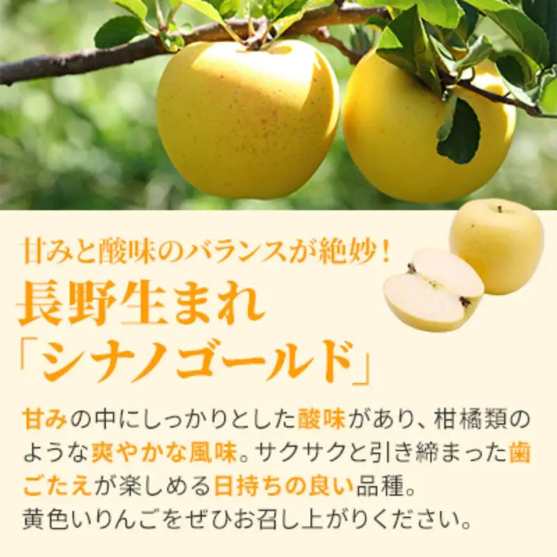 りんご シナノゴールド 約10kg 28～40玉入 リンゴ