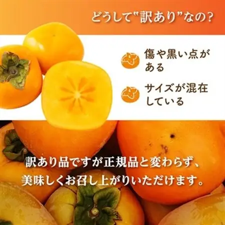柿【2026年度発送分】国城観光農園のたねなし柿(家庭用・訳あり)約7.5kg【1143474】