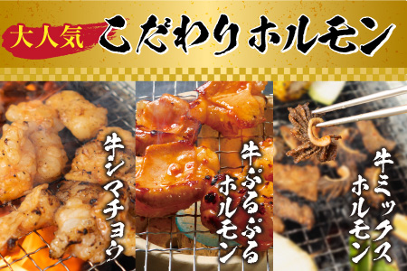 国産牛 ホルモン 3種 セット 計500g ホルモン 食べ比べ