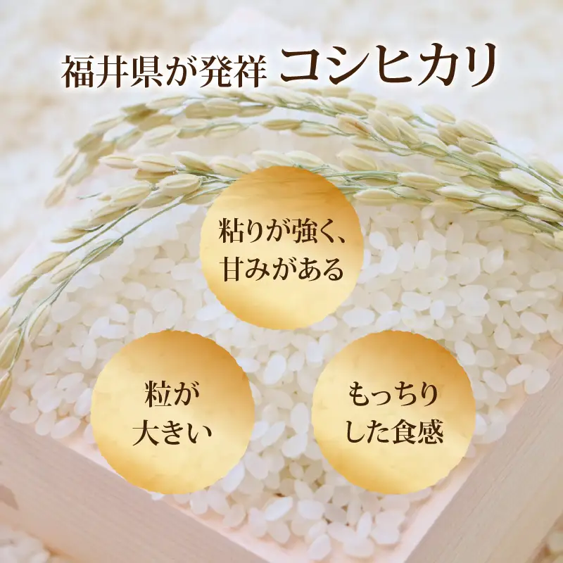 【白米】令和7年度産 永平寺町産 農薬不使用・化学肥料不使用 特別栽培米 コシヒカリ 5kg [B-033013]