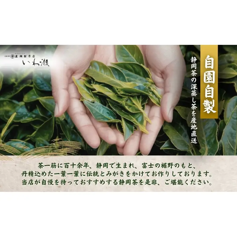 深蒸し煎茶　詰合せ 飲料類 お茶 