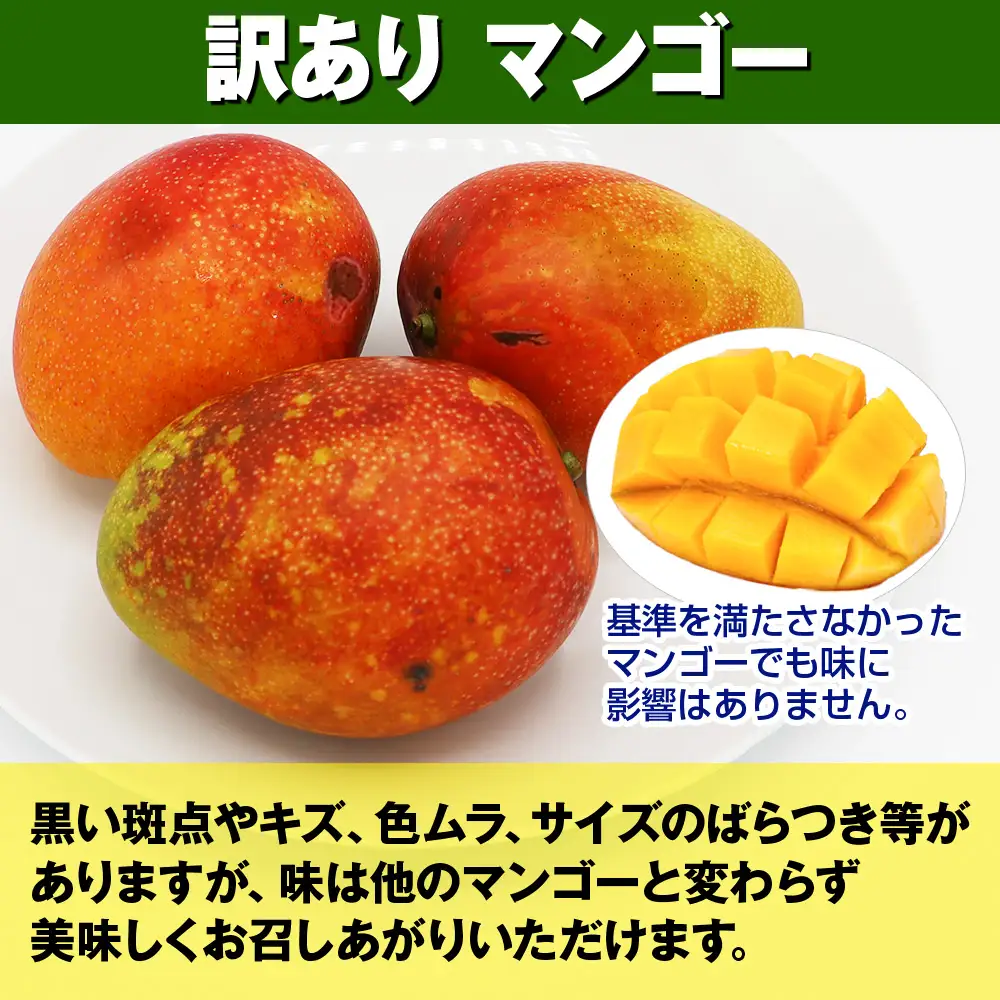 【訳あり】2027年発送 生産組合から直送 神里マンゴー1.5kg