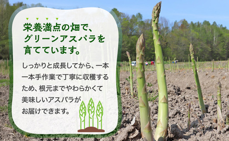 グリーンアスパラ 原農園 朝採り 北海道産 グリーンアスパラ【1kg Mサイズ】【先行予約】