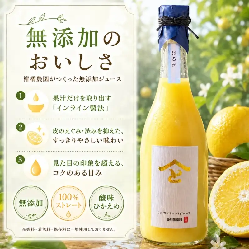 みかんジュース はるか 無添加ストレート 果汁飲料 みかんジュース【720ml】