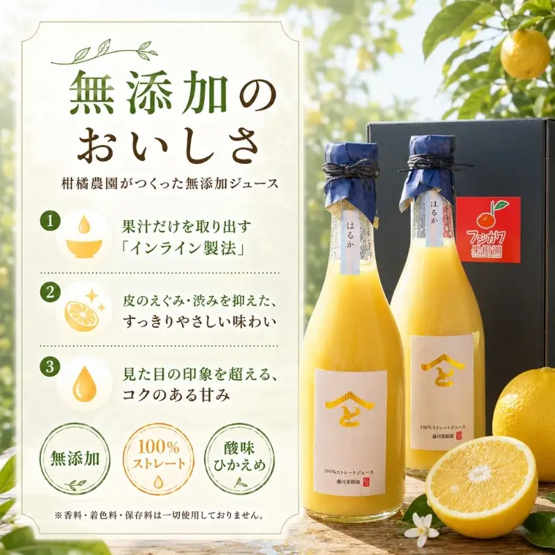 みかんジュース はるか 無添加ストレート 果汁飲料 みかんジュース【720ml×2本】