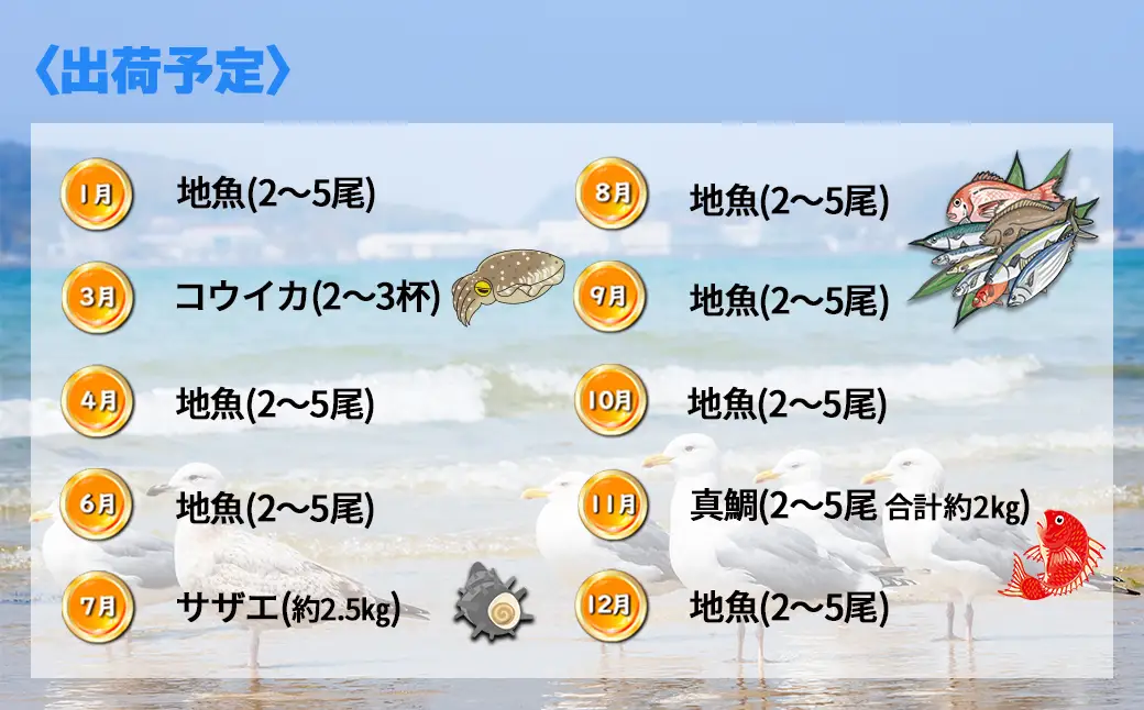 【年10回】福津の旬の魚介類こだわり定期便【加工承り】【随時開始】[H7016]