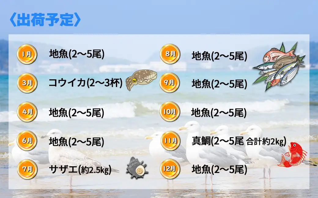 【年10回】福津の旬の魚介類こだわり定期便【随時開始】[H7017]