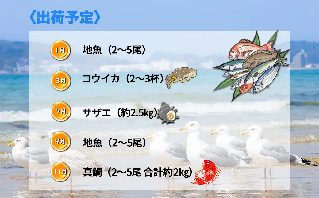 【年5回】福津の旬の魚介類こだわり定期便【加工承り】【随時開始】[H7018]