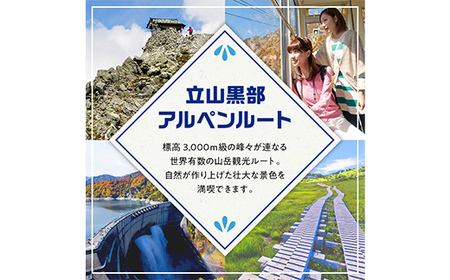 立山黒部アルペンルート ( 立山駅 ～ 室堂駅 ※往復 ) 優待券 立山黒部貫光観光 旅行 券 チケット 体験 トラベル 黒部 富山県 立山町 F6T-779