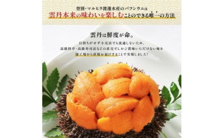 無添加　極上エゾバフンウニ塩水パック 300g（100g×3パック） D 23年4月上旬～5月下旬迄