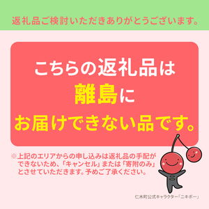 北海道産ななつぼし 無洗米 10kg 2025年産米 ななつぼし