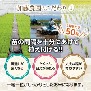 SC0673　【令和8年産 新米予約】［玄米］特別栽培米コシヒカリ　10kg(5kg×2袋)「農家直送」 KA