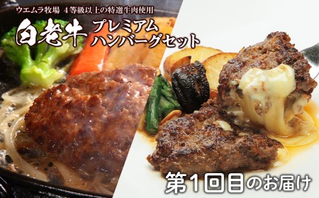定期便 頒布会 全3回 お楽しみ 白老牛 ハンバーグ 焼肉 ステーキ ウエムラ牧場 牛肉 ハンバーグ 焼肉 ステーキ サーロイン ショトーブリアン 白老牛 黒毛和牛 北海道 チーズ 北海道ふるさと納税