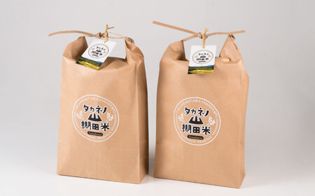 【新米受付・令和8年産米】NB4035 新潟県村上市岩船産 棚田米コシヒカリ5kg×2