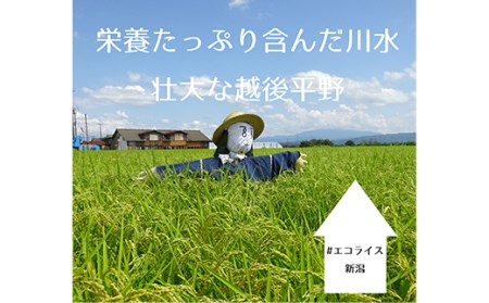 67-02中越地震・東日本大震災の被災体験から生まれた非常食セット(勝太のわかめご飯10ｐ＆はんぶん米10ｐ）