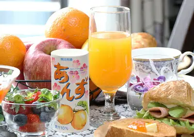 気軽にあんずを楽しむ あんずエード 30本|ジュース