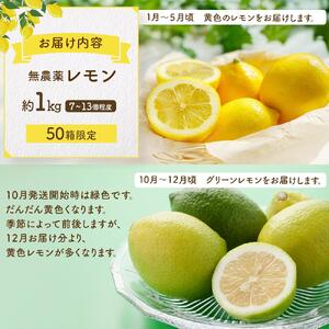 皮まで美味しい無農薬レモン 約1kg【栽培期間中農薬不使用】