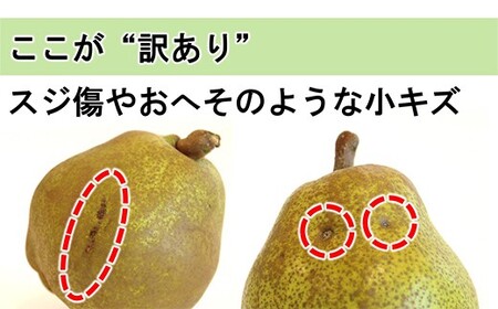 【令和8年産先行予約】 〈訳あり品 家庭用〉 ラ・フランス 約5kg (10～18玉 中～大玉) 《令和8年11月上旬～発送》 『旬の果実 佐藤市右衛門農園』 ラフランス 西洋梨 洋なし 訳あり 果物 フルーツ デザート 山形県 南陽市 [1047]