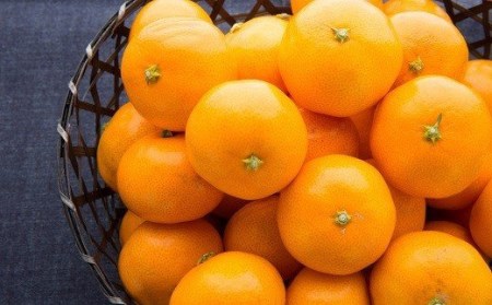 商標登録 潮風みかん 2kg 高知県 黒潮町産［1398-2］