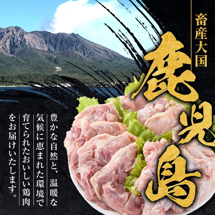 若鶏 ムネ肉 計12kg 2kg×6袋 鹿児島県産 【まつぼっくり】 i448