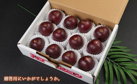 【2027年発送】先行受付 徳之島 天城町産 パッションフルーツ A品１kg トロピカルフルーツ AJ-3-N