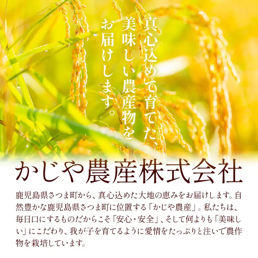 なつほのか 米 2kg《30日以内に出荷予定(土日祝除く)》
