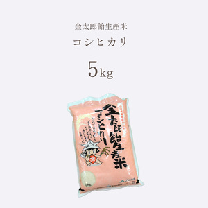 令和7年産 米 金太郎飴生産米 コシヒカリ 山口美祢産 5kg