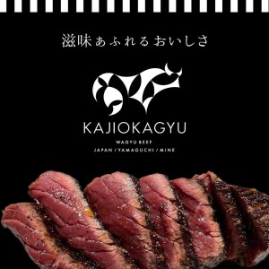 梶岡牛 プレミアムハンバーグ