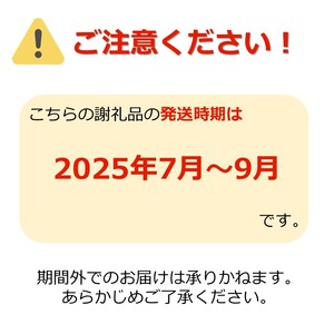 【2025年7月～9月発送分先行受付】鈴木・ファームの夏アスパラ（L～2Lサイズ・約1kg）_H117(R7)