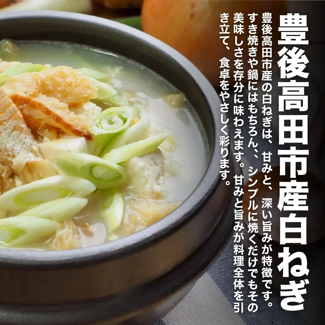 長ねぎ 白ねぎ 3kg前後 新鮮＆産地直送