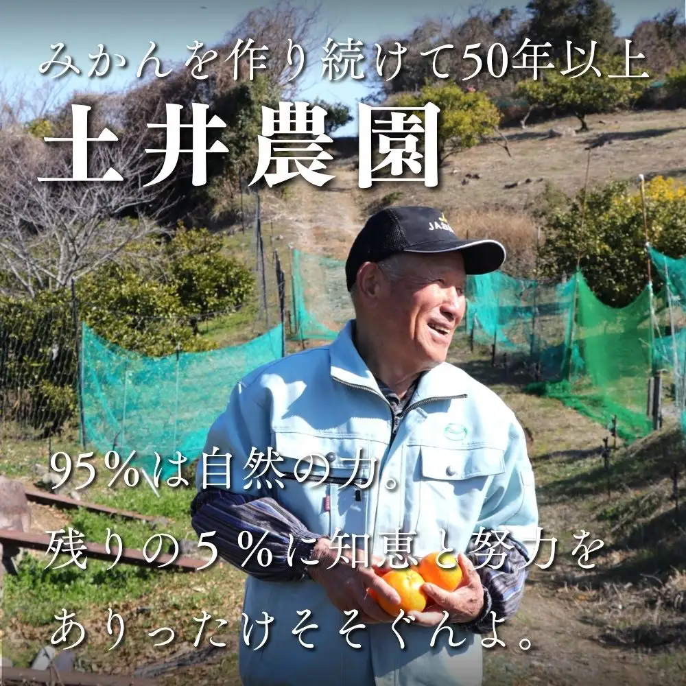 みかん【先行予約】土井さんのみかん(10kg)