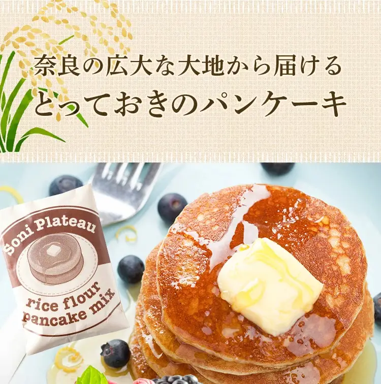 米粉パンケーキミックス　10個　セット　米粉　パンケーキ　パンケーキミックス テッパン返礼品