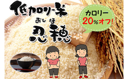 低カロリー米　忍穂（おしほ）3kg お米 