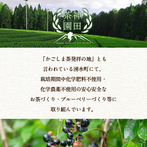 《数量限定》鹿児島県湧水町産！栽培期間中農薬・化学肥料不使用！湧水上煎茶 計300g(100g×3本) 国産 九州産 鹿児島県産 茶葉 お茶 茶 日本茶 緑茶 上煎茶 一番茶 湧水茶 浅蒸し茶 ギフト 贈答 プレゼント 贈り物 令和8年産 【神田茶園】_y313