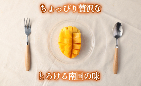 【2026年発送】【先行受付】徳之島 天城町【贈答用】島マンゴー園 完熟マンゴー Ａ品 1kg マンゴー フルーツ BA-1-N
