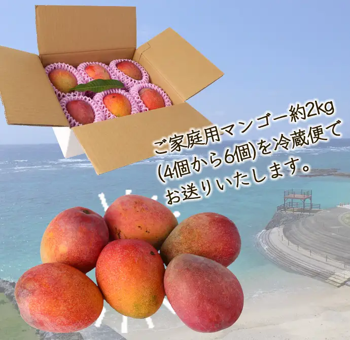 【2027年発送】【先行受付】【ご家庭用】徳之島 天城町 島マンゴー園 完熟マンゴー 2kg マンゴー フルーツ BA-4-N